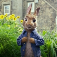The Good, the Bad, the Cottontail: Peter Rabbit Review